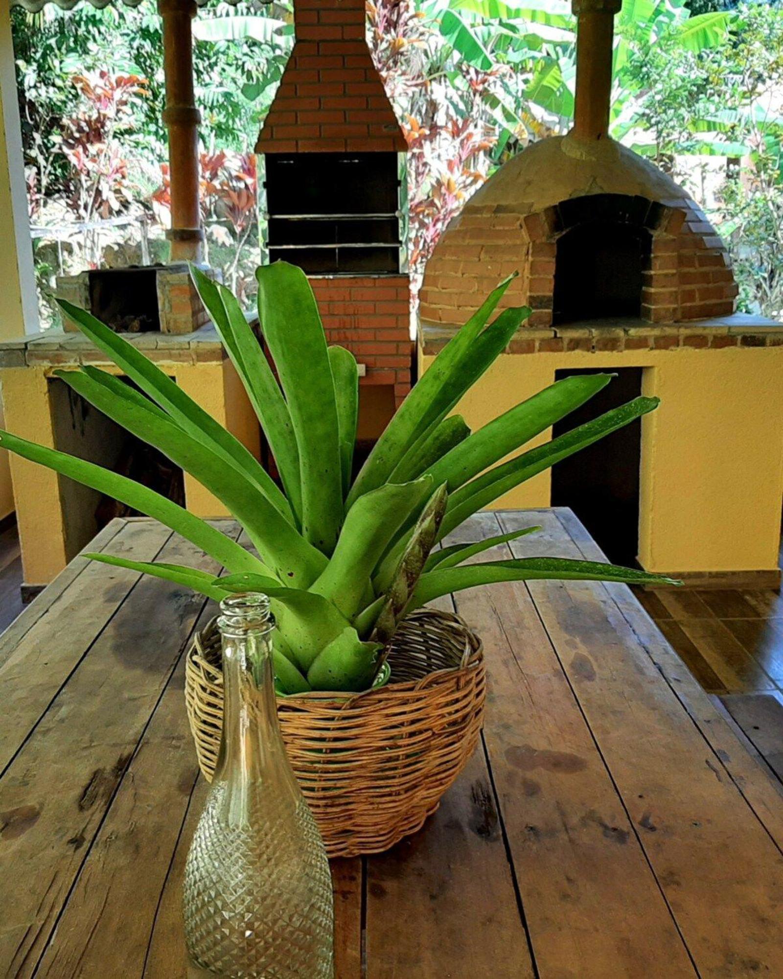 Casa Da Ilha Paraty Entre A Mata Atlantica E O Mar Villa Eksteriør bilde