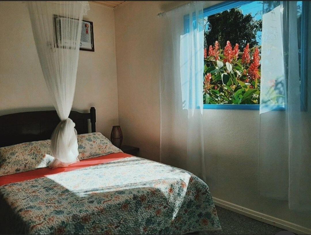 Casa Da Ilha Paraty Entre A Mata Atlantica E O Mar Villa Eksteriør bilde